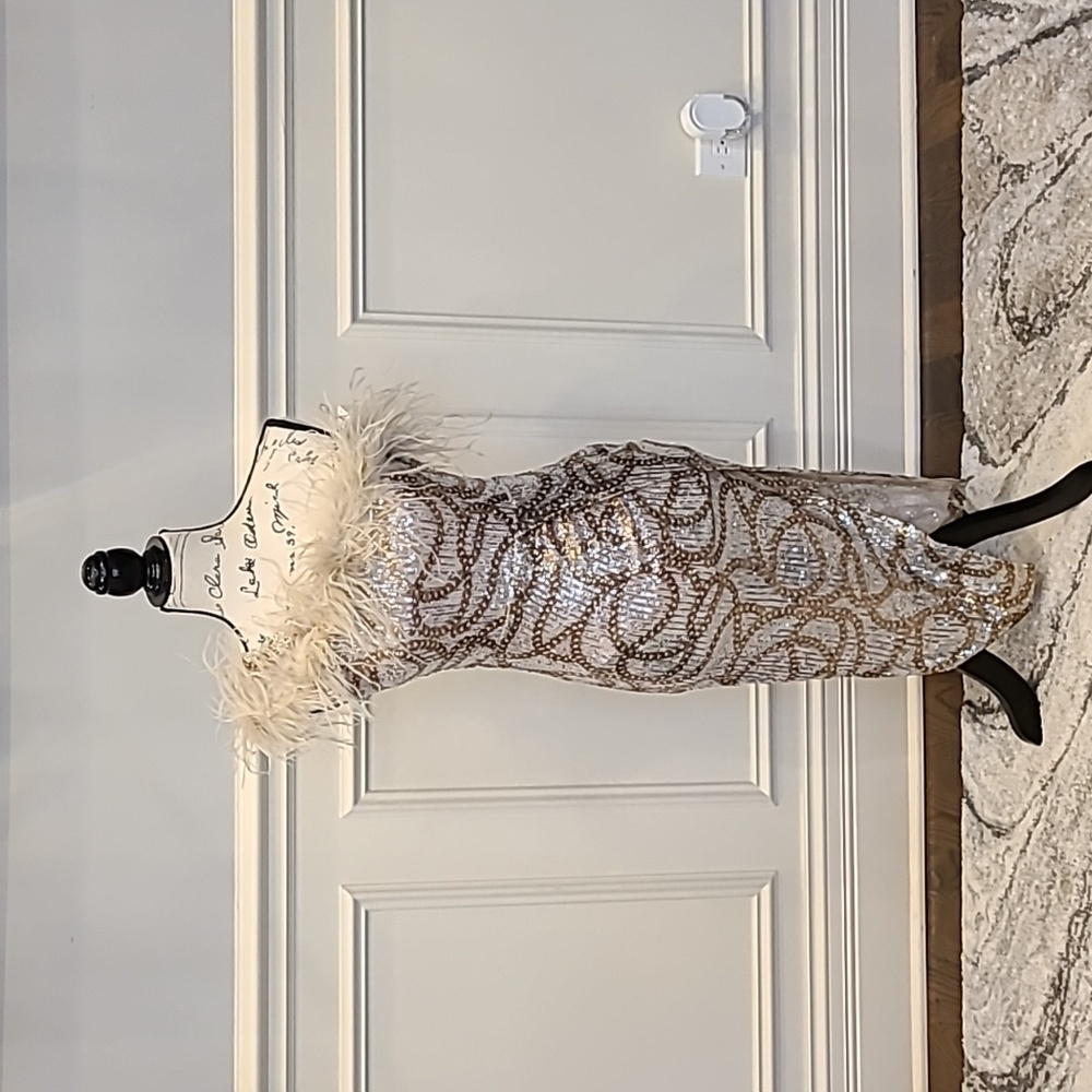 Medium length dress with feathered collar by Akira(used)